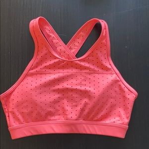 Buff Bunny High Neck Sports Bra